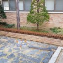 상록고등학교 이미지