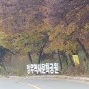 망우로 이미지