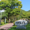 냉천골공원 티스토리