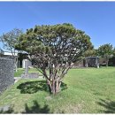 작은숲 펜션 이미지