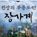 장가계 단풍 트레킹 - 11월1~5일(3박5일 금~화) 이미지