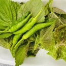 항골계곡 야영장 이미지