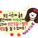 착한동태대구탕