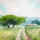 수채화 Daum카페