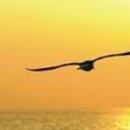 행복만들기 이미지