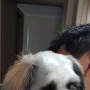 몽몽샵 이미지