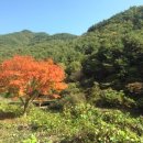 용오름 네이버블로그
