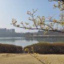 진달래어린이공원 | 고양누리길 7코스 호수누리길+ 8코스 경의로누리길