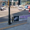 인권위 3월 4일 시위결과 보고 Bikini Gwanghwamun. 이미지