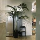 오하이오(ohio) 이미지