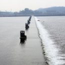 신평동1007 이미지