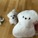 방배로 234-9 | [임신 8주차] 젤리곰 초음파, 임산부 곱창 쌀국수 / 임산부 일본 마쓰야마 이른 태교여행, 아카짱혼포 쇼핑