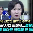 추미애, 조국은 사법 피해자 이미지