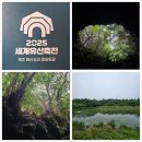 유산1 | 세계유산축전 제주 워킹투어 1구간 방문 후기