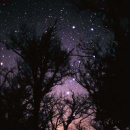 우리외가집 이미지