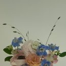 파랑청과 이미지