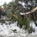 제비1리 이미지