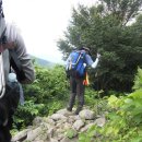 청천목장 이미지