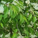 중랑캠핑숲 이미지