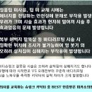 에까마이 이미지