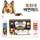 복희네 | 강아지 배변패드 1+1 복희네 소형 200매 세트 사용후기와 추천