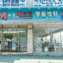 수성 메트로 동물병원 이미지