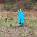 김영덕농장 이미지