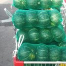 풍기농협 하나로마트 이미지