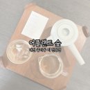 대전 티 전문 카페 어 플랜트 숲, 주말 내돈내산 방문 후기