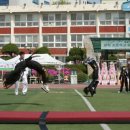 청라 익스트림 태권도 이미지