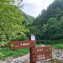 삼척활기자연휴양림 이미지