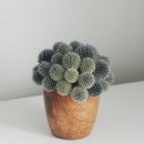 참Design 이미지