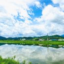 백조횟집 이미지