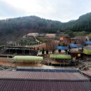 백운산둘레길5코스 티스토리