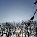 더도울(THE DOUL) | 솔가 엽산 효과