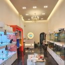 멍블랑 강아지분양 시흥배곧점 이미지