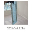 청소반장 - 태안군 라암로 188 | 파주 운정 와동동 해품가 오피스텔 입주청소 리얼후기