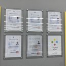 탁구개인지도