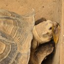 곰두마리농장 | 청주 아이랑 가볼만한곳 청주동물원 주차 소요시간 입장료