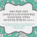 오늘의 '영어성경 사진'(823강) “하나님의 명령들에 반역한 결과”(시편 107편 10절~11절) 이미지