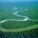 12. 세계의 관광명소 - 아마존의 밀림 Amazon 이미지