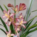 승진농장 이미지