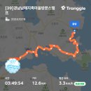 길38 이미지