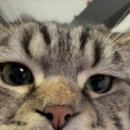 오늘 하루 운동 체력단련실 이미지