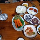 나정식당 티스토리