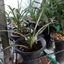 장복농장 이미지