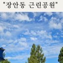 장안 근린공원 이미지