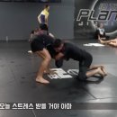 카프킥복싱.MMA 이미지