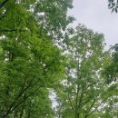 단양펜션민박 이미지