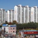 스타부동산컨설팅